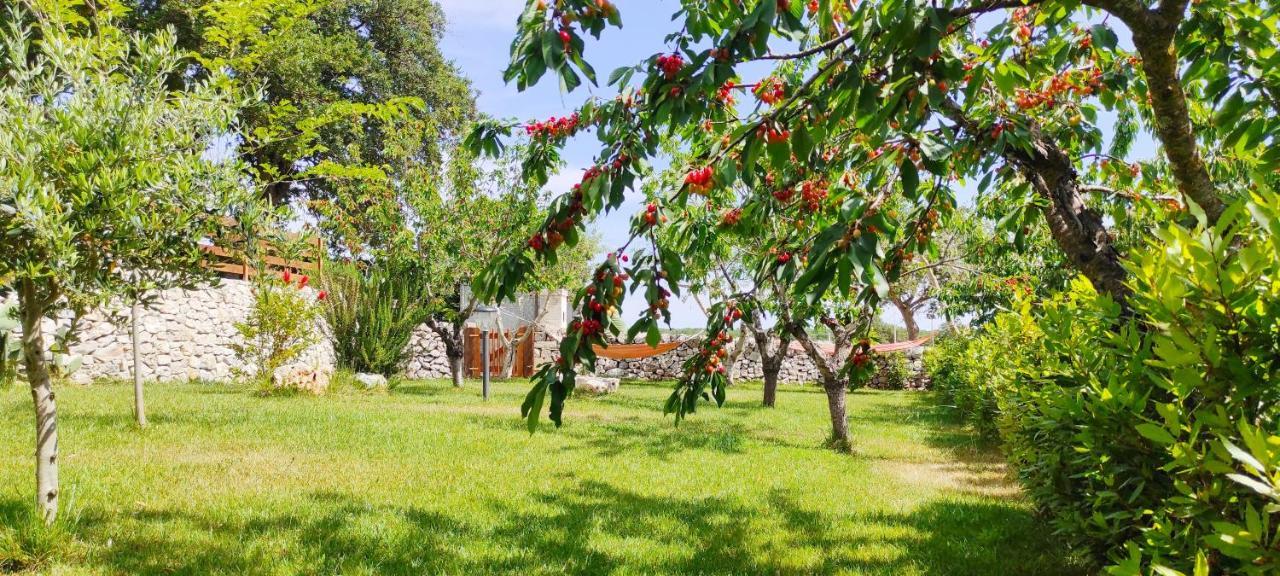 Red Rose B&B Martina Franca Ngoại thất bức ảnh