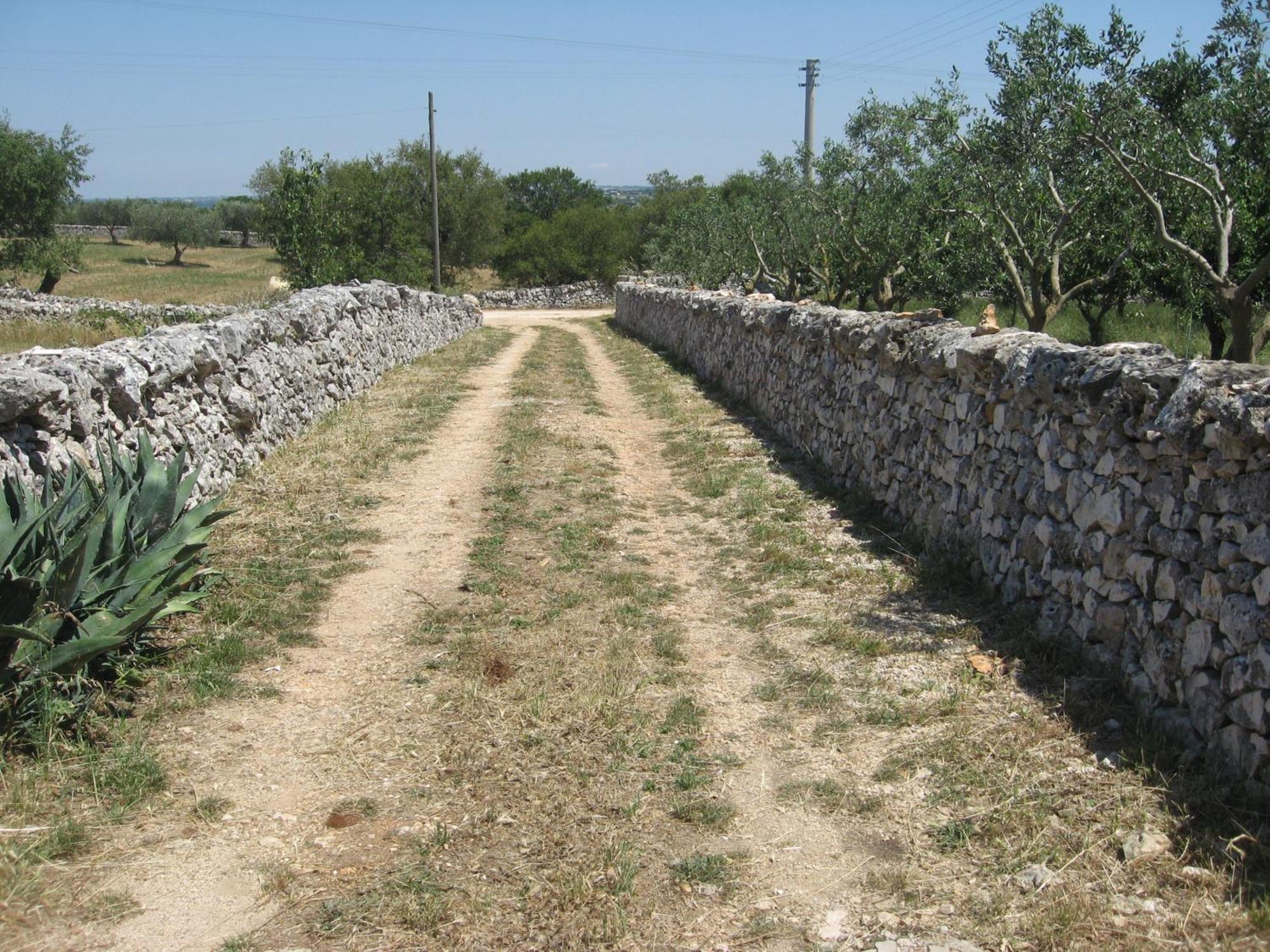 Red Rose B&B Martina Franca Ngoại thất bức ảnh